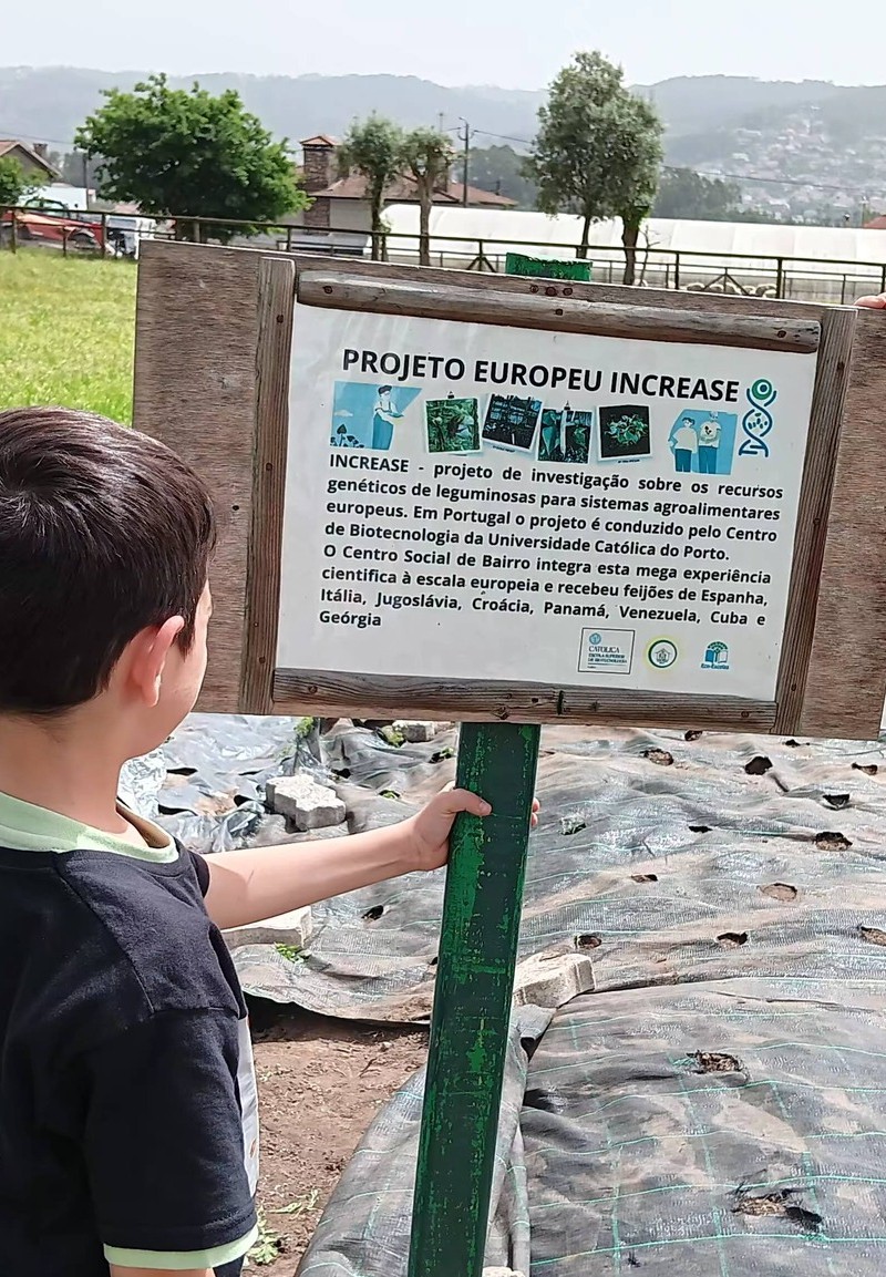 Feature School Portugal